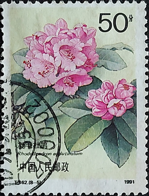 中國人民郵政