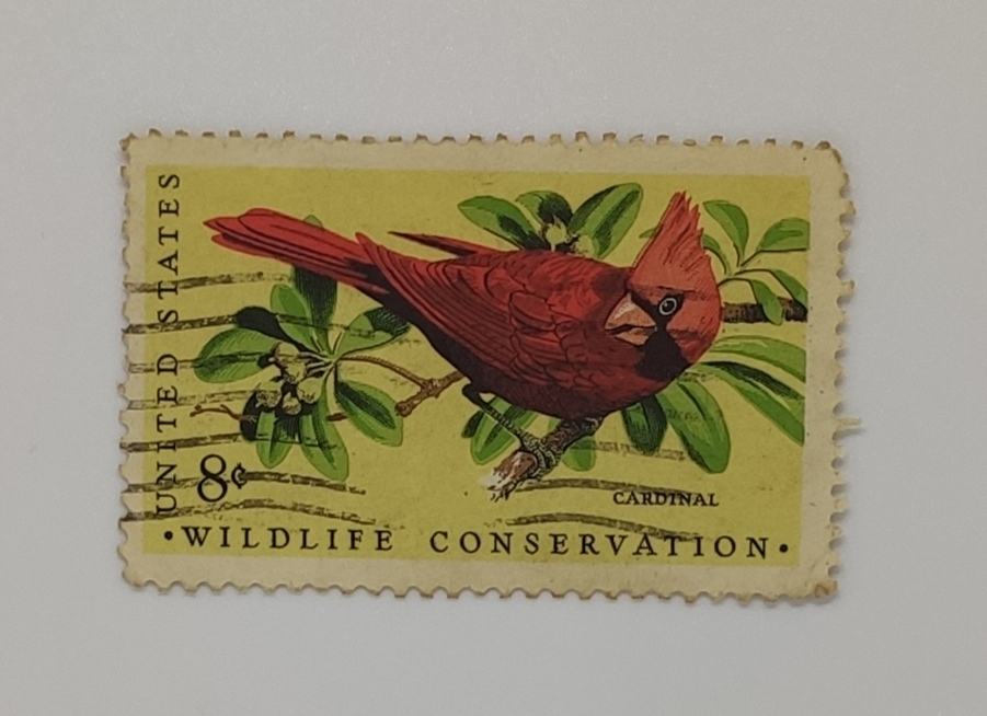 WILDLIFE CONSERVATION