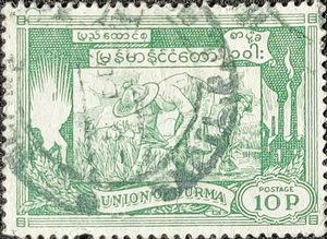 BURMA - Transplanting rice