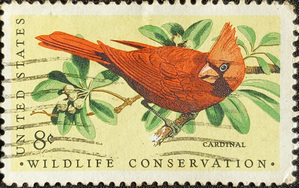 WILDLIFE CONSERVATION