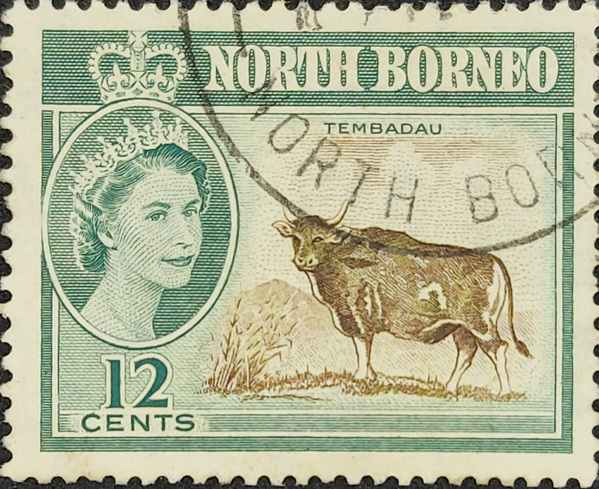 NORTH BORNEO TEMBADAU