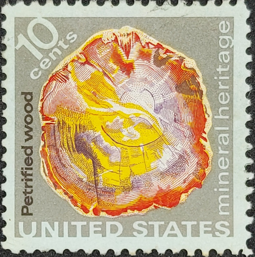 Petrified wood mineral heritage
