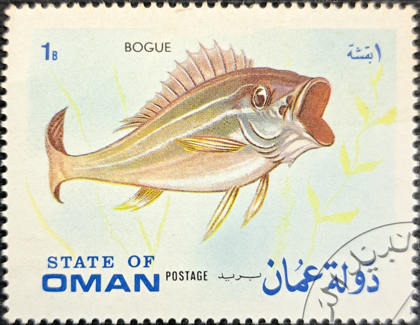 BOGUE
