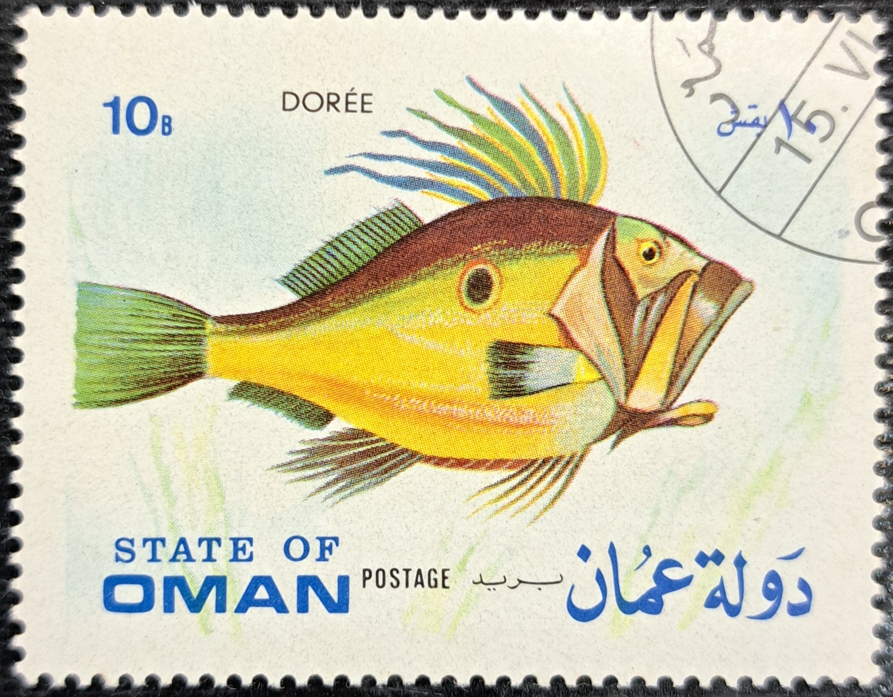 Dory FISH