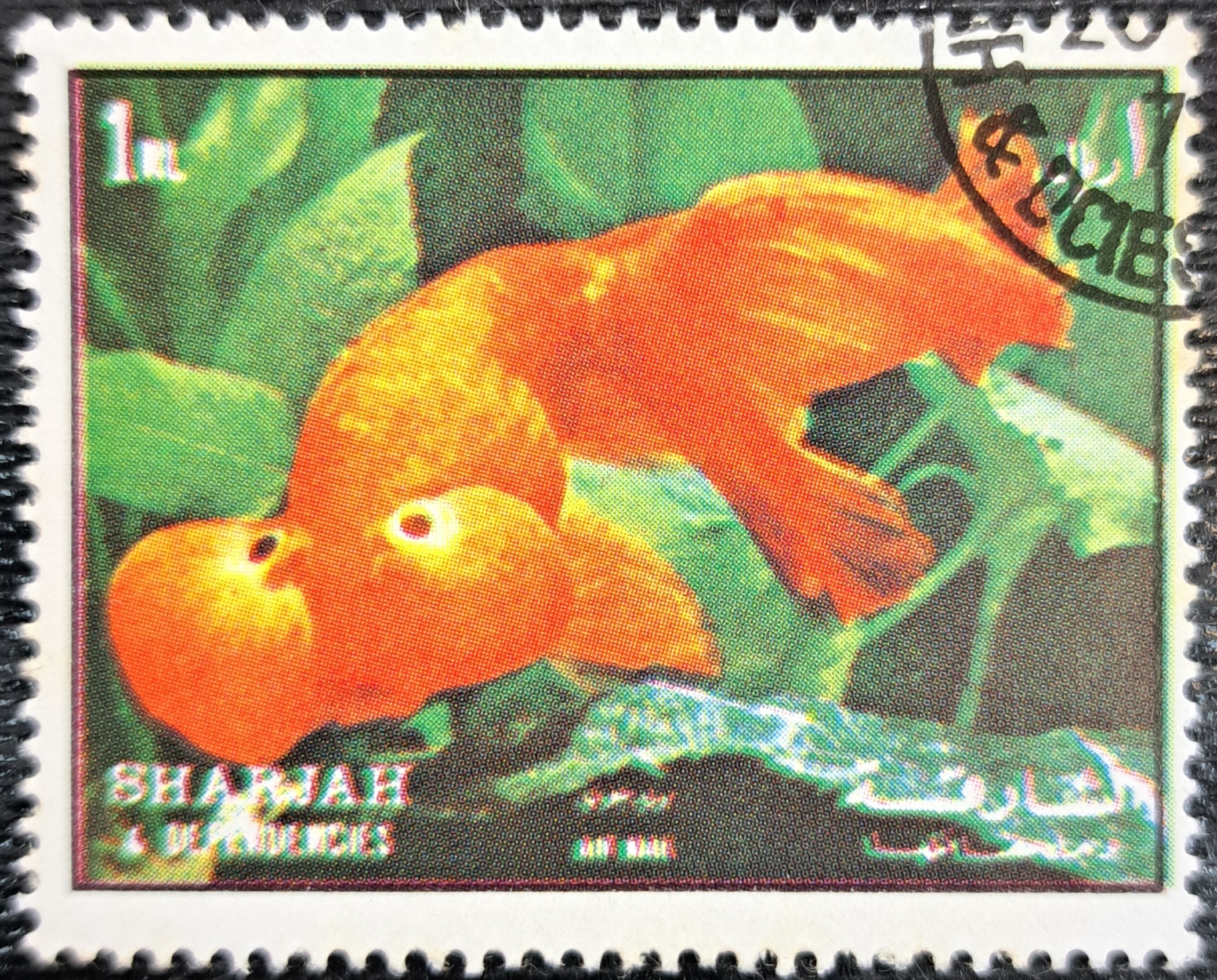STAMPS-FISH
