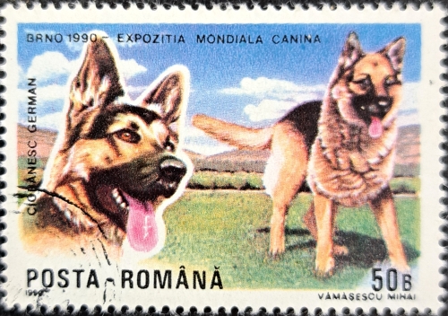 BRNO 1990 EXPOZITIA MONDIALA CANINA