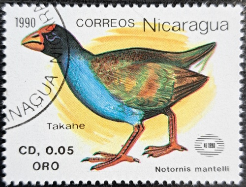 Takahe
