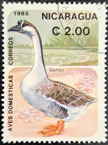 Ganso