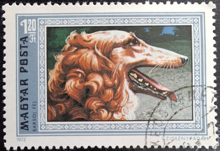 BARSOJ FEJ