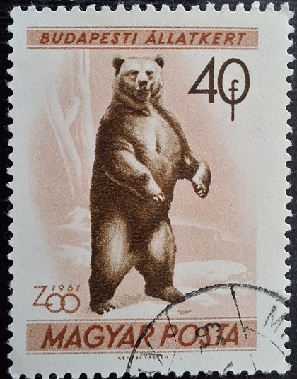BUDAPESTI ALLATKERT ZOO 1961