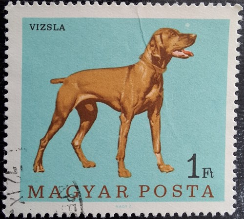 vizsla MAGYAR POSTA 1Ft